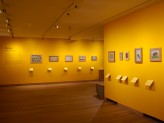 Special Exhibitions Gallery 3 - Visions of Mughal India exhibition. © Ashmolean Museum, University of Oxford