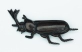 Figure of a stag beetle