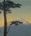 Pine tree and Mount Fuji