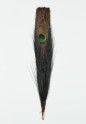 Peacock feather probably used to denote official rank