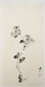 Chrysanthemum spray (EA1966.194)