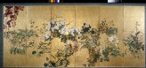 Screen with autumn and winter flowers