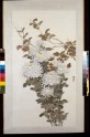 White chrysanthemums and autumn leaves (EA1978.124)