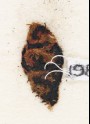 Textile fragment with inscription (EA1984.113.b)