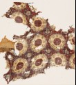 Textile fragment with linked circles and interlace (EA1990.869)