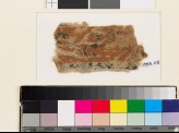 Textile fragment with band of scrolling stems and leaves (EA1993.115)