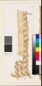 Textile fragment with leaves and dots (EA1993.280)