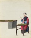 A Woman Preparing Tea