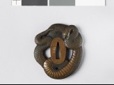 Tsuba in the form of a coiled snake