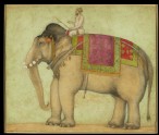 Royal elephant with mahout