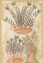 Three bamboo shoots, from a De Materia Medica manuscript