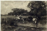 Cows at a watering place