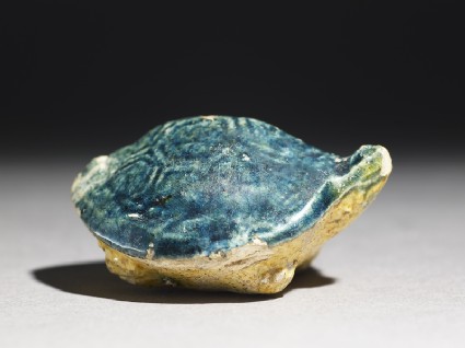Figure of a tortoiseoblique