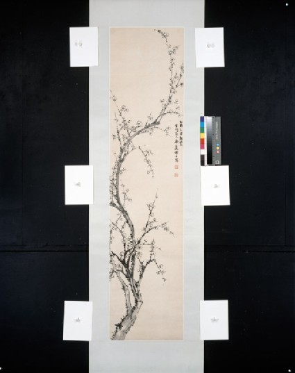 Prunus branchfront, painting only
