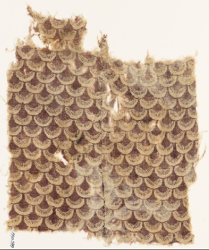 Textile fragment with scalesfront