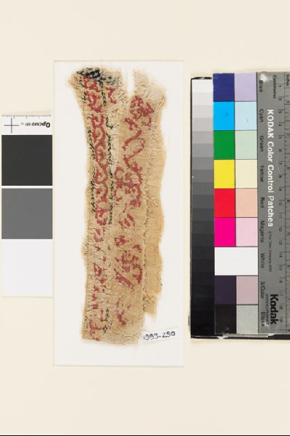 Textile fragment with floral scrolling pattern, probably from the cuff of a sleevefront