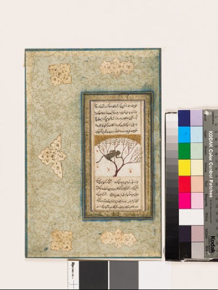 Page from a dispersed muraqqa‘, or album, depicting a monkey in a treefront