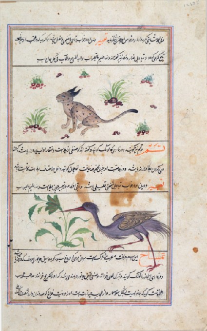 Page from a dispersed manuscript of Qazwini's ‘Aja'ib al-Makhluqatfront