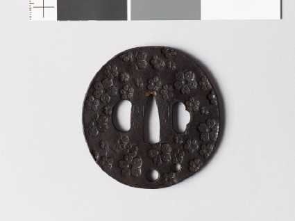 Tsuba with cherry blossomsfront