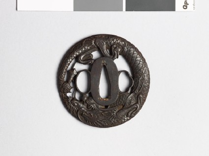 Tsuba in the form of a coiled dragonfront