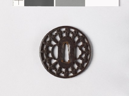 Tsuba with radiating design, possibly of clovesfront
