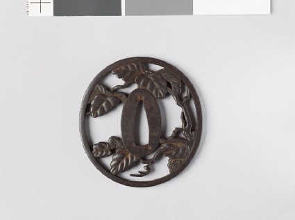 Tsuba with a leafy branch, possibly of paulowniafront