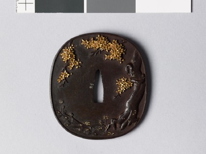 Tsuba with blossoming cherry treefront