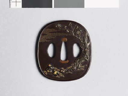 Tsuba with blossoming plum tree and chrysanthemum plantfront