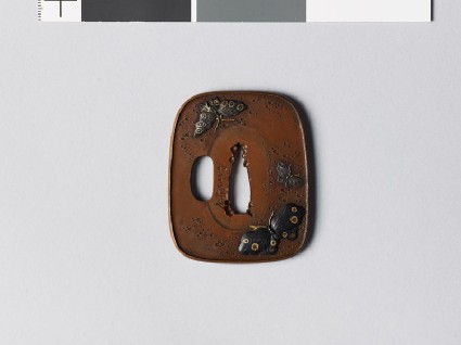Aori-shaped tsuba with butterflies and susuki grassfront