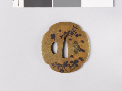 Lenticular and mokkō-shaped tsuba with asters and a cricketfront