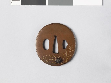 Tsuba with cricket, grasshopper, reeds, and grassesfront