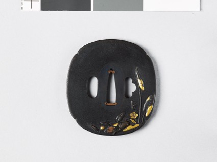 Mokkō-shaped tsuba with water lilies and a tree frogfront