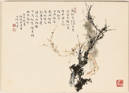 Tree branches and calligraphyfront