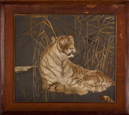 Tiger among reedsfront, Cat. No. 32