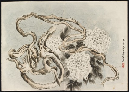 Chrysanthemums and vine stemsfront