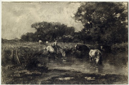 Cows at a watering placefront